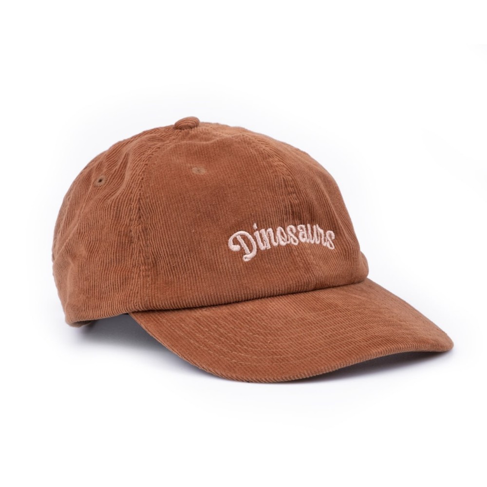 DINOSAURS BROWN CAP