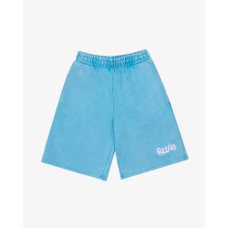 BASIC V2 BLUE SHORTS 