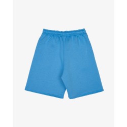 BASIC BLUE SHORTS 