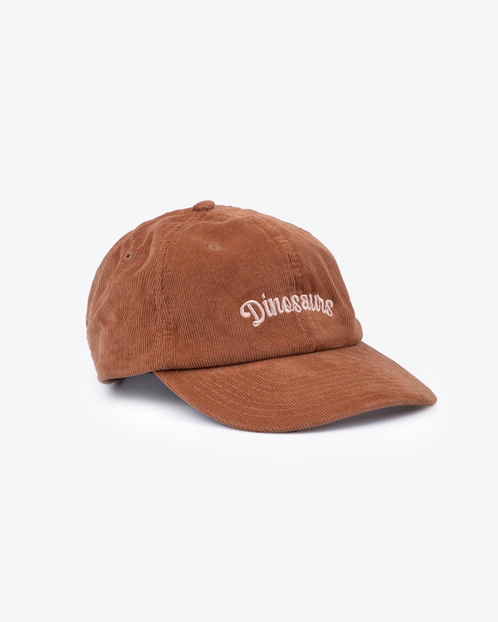 DINOSAURS BROWN CAP