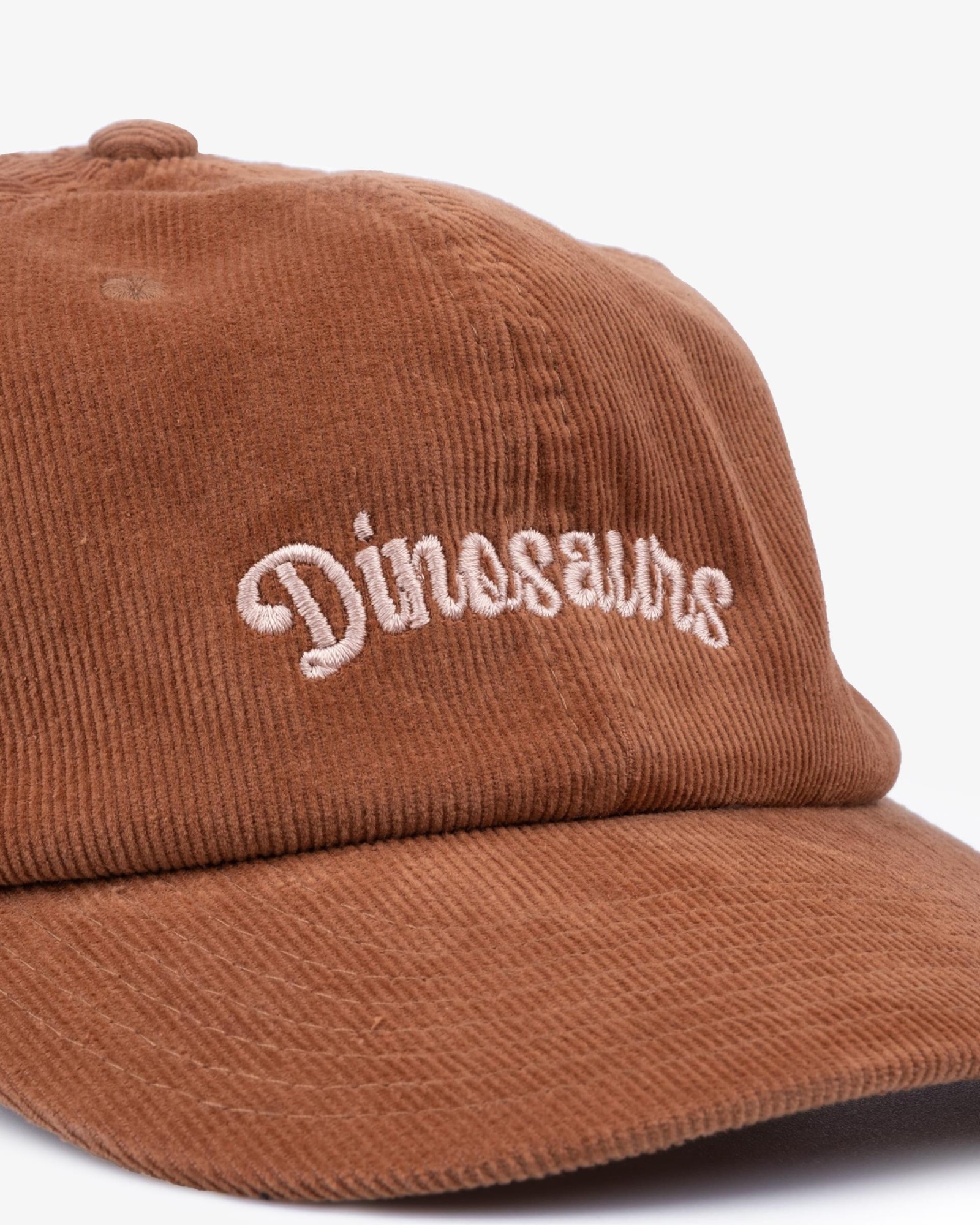 DINOSAURS BROWN CAP