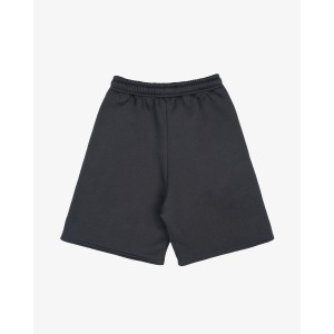 BASIC GRAPHITE SHORTS