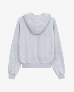 HARDCORE GREY HOODIE