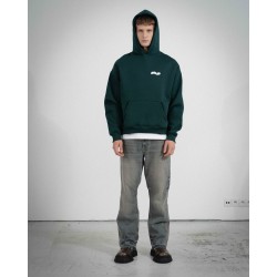 COZY SMALL BOTTLE GREEN HOODIE 
