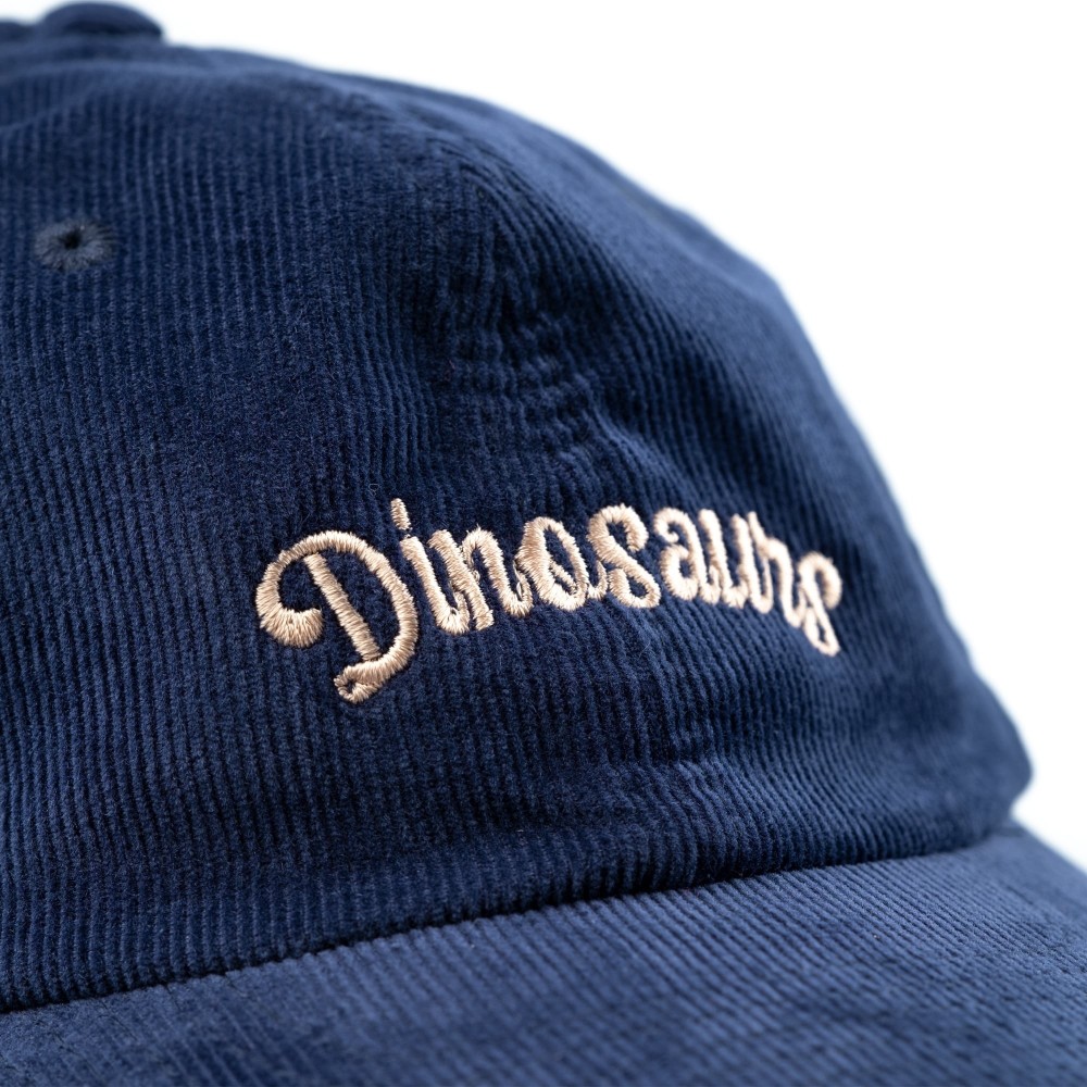 DINOSAURS NAVY CAP