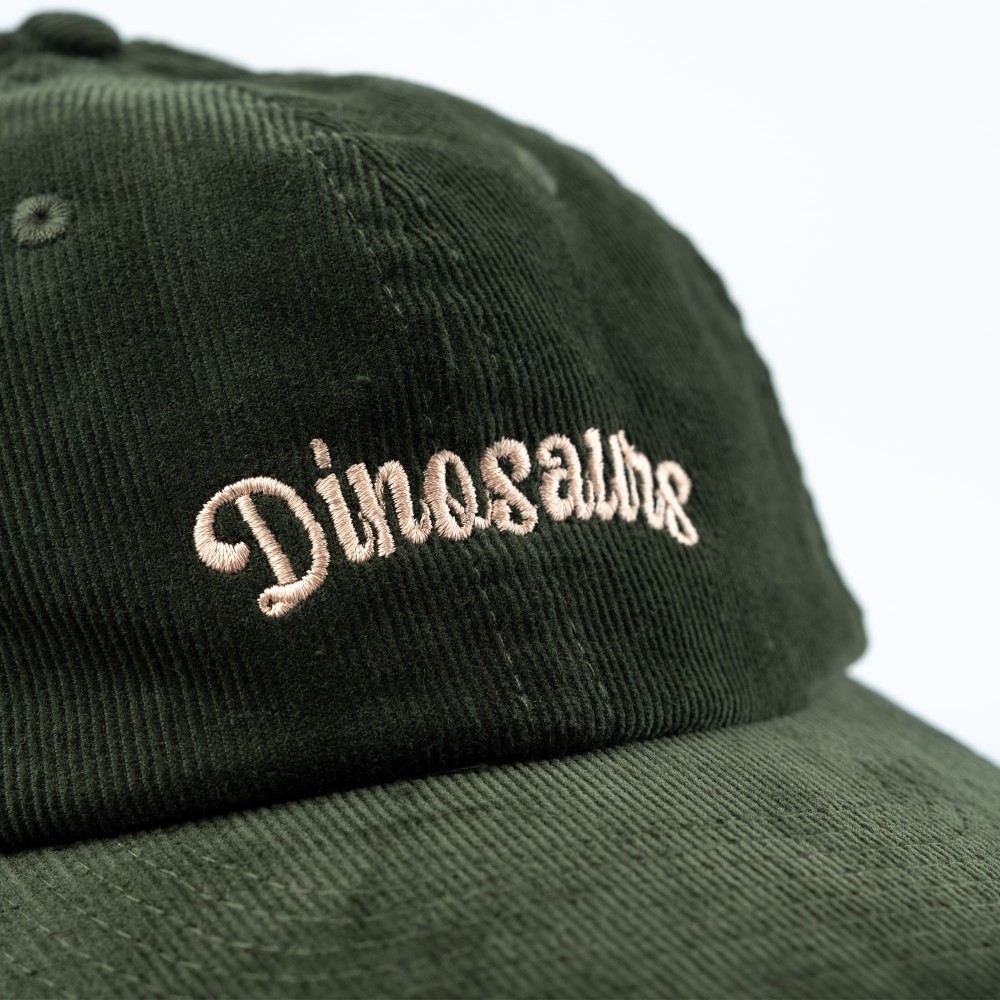 DINOSAURS GREEN CAP